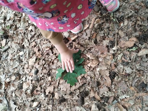 Customer photo review of Edubini Gefunden! Outdoor Suchspiel für Kinder