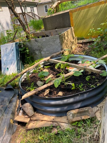 Customer photo review of 8" Tall Large Round