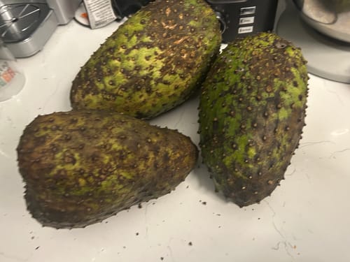 Customer photo review of Soursop