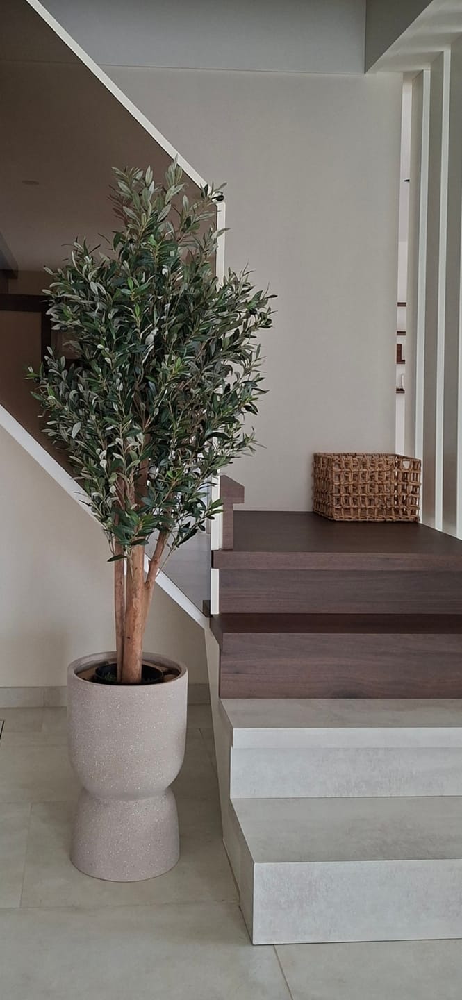 Customer photo review of Pre-Order Kunst Olijfboom 165cm Deluxe (midden mei)