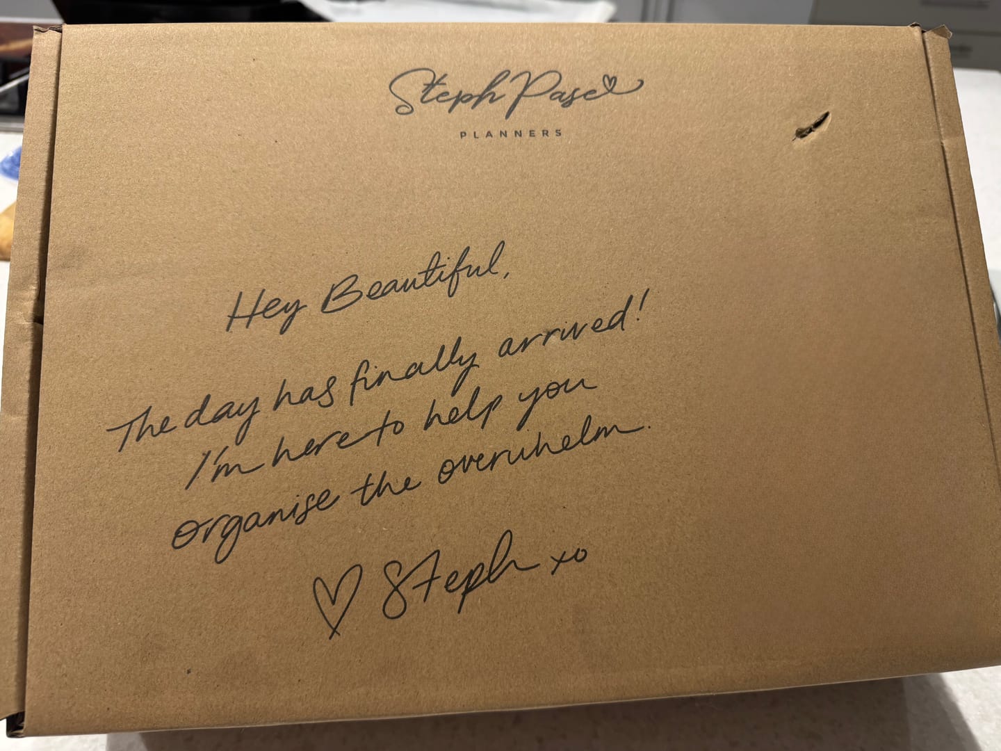 Customer photo review of Luxe Insulated Lunch Bag - Beige