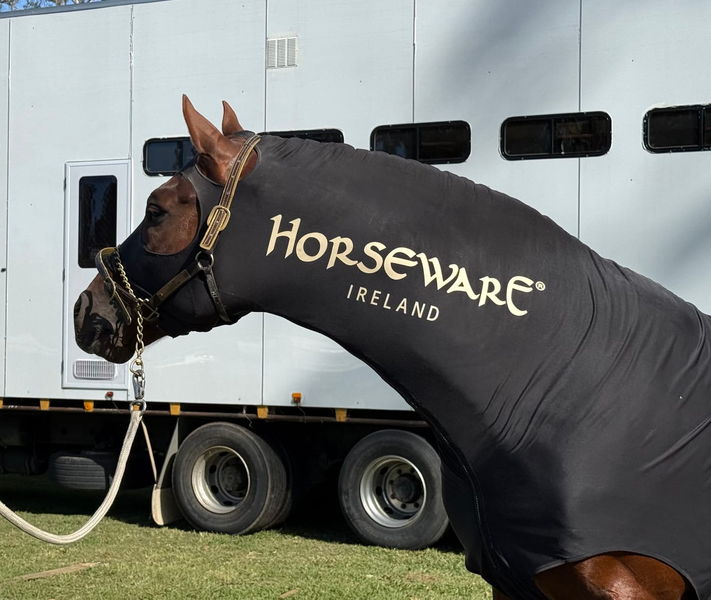 Customer photo review of Rambo Slinky Hood