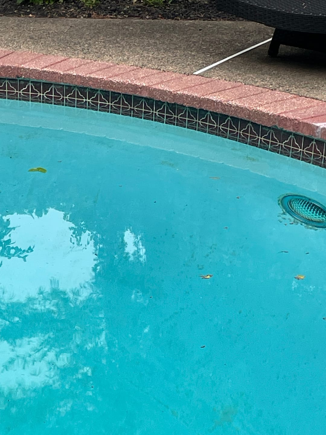 Customer photo review of Super Shockwave 73% Cal Hypo Pool Shock