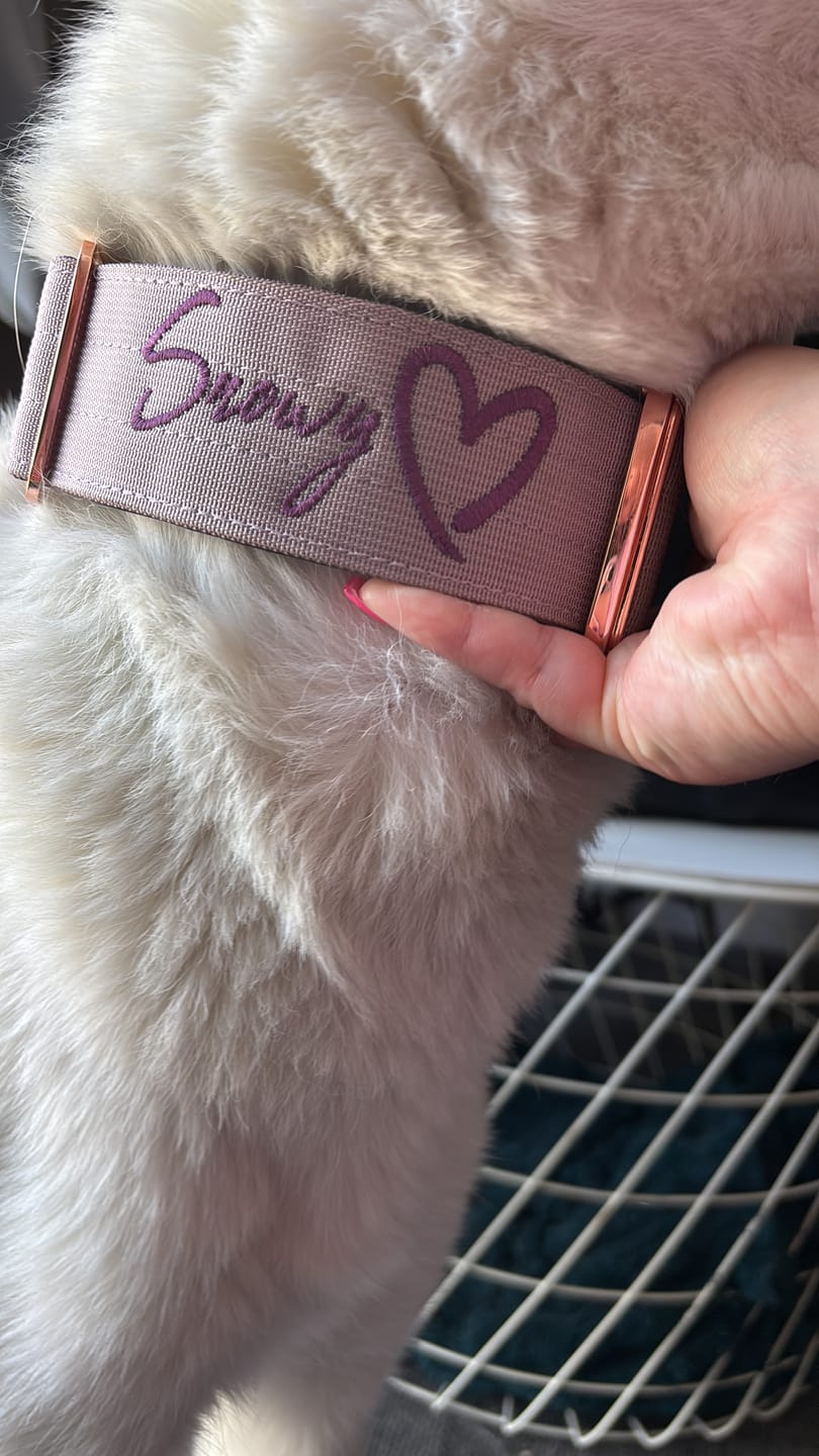 Customer photo review of 2" Tacti Luxe Dog Collar - Rose Gold - Sofia
