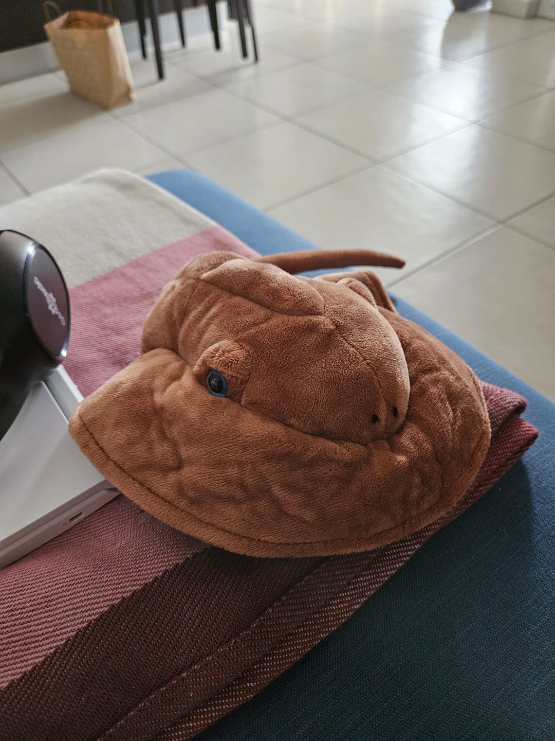 Customer photo review of Horseshoe Crab Soft Stuffed Plush Toy