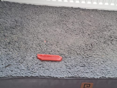 Customer photo review of Himmaleh Yak Chews For Dogs