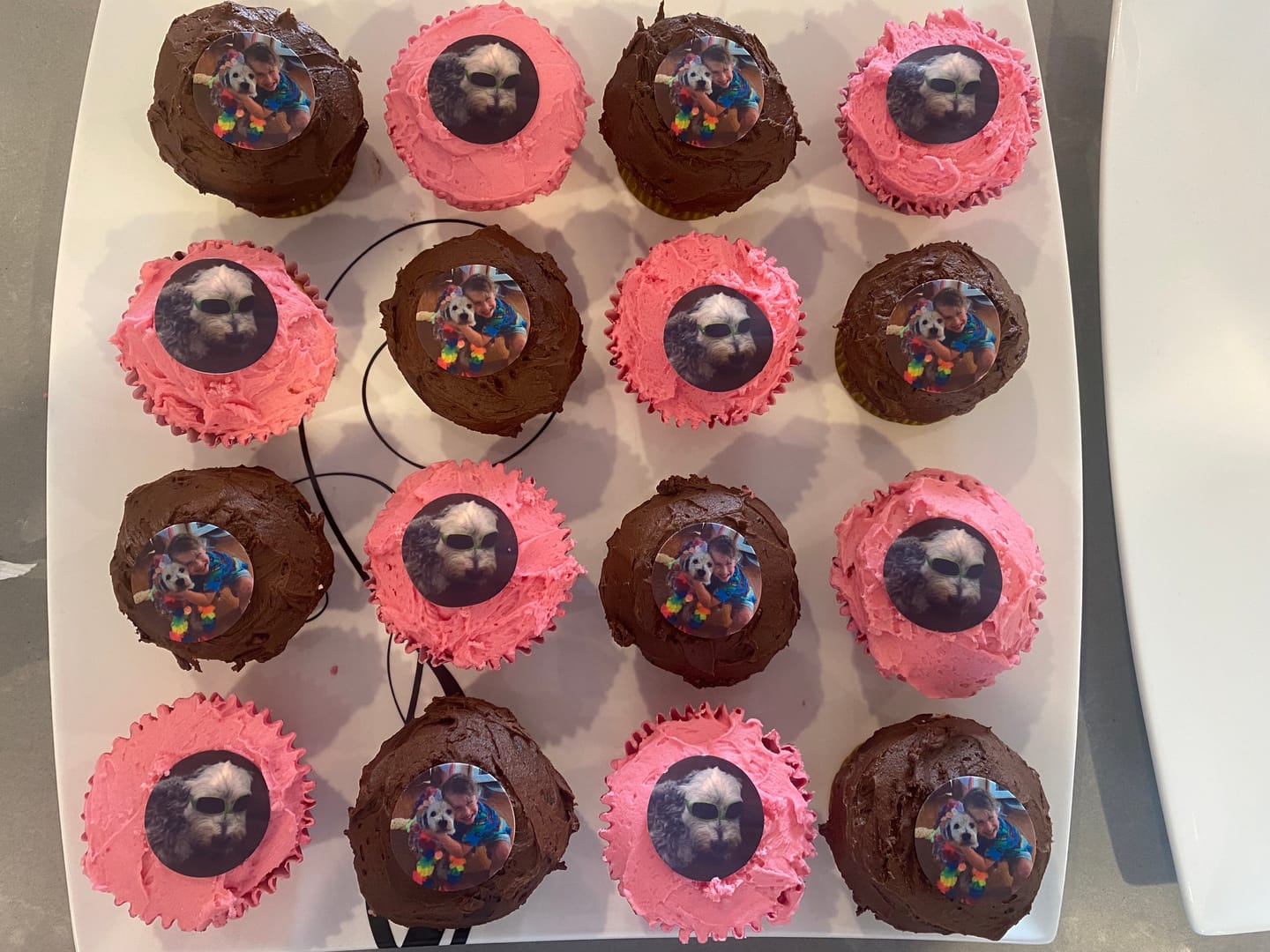Customer photo review of 30 x 3.8 cm Small Cupcake Custom Edible Icing Images