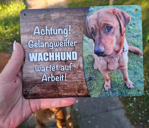 Customer photo review of Hunde-Türschild personalisiert mit Foto & Text (UV- und wetterfest)