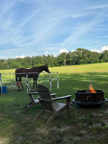 Customer photo review of Ready Made Portable Electric Horse Corral Fencing: (Electric EconoLine 8 Panels; 2 Rails)