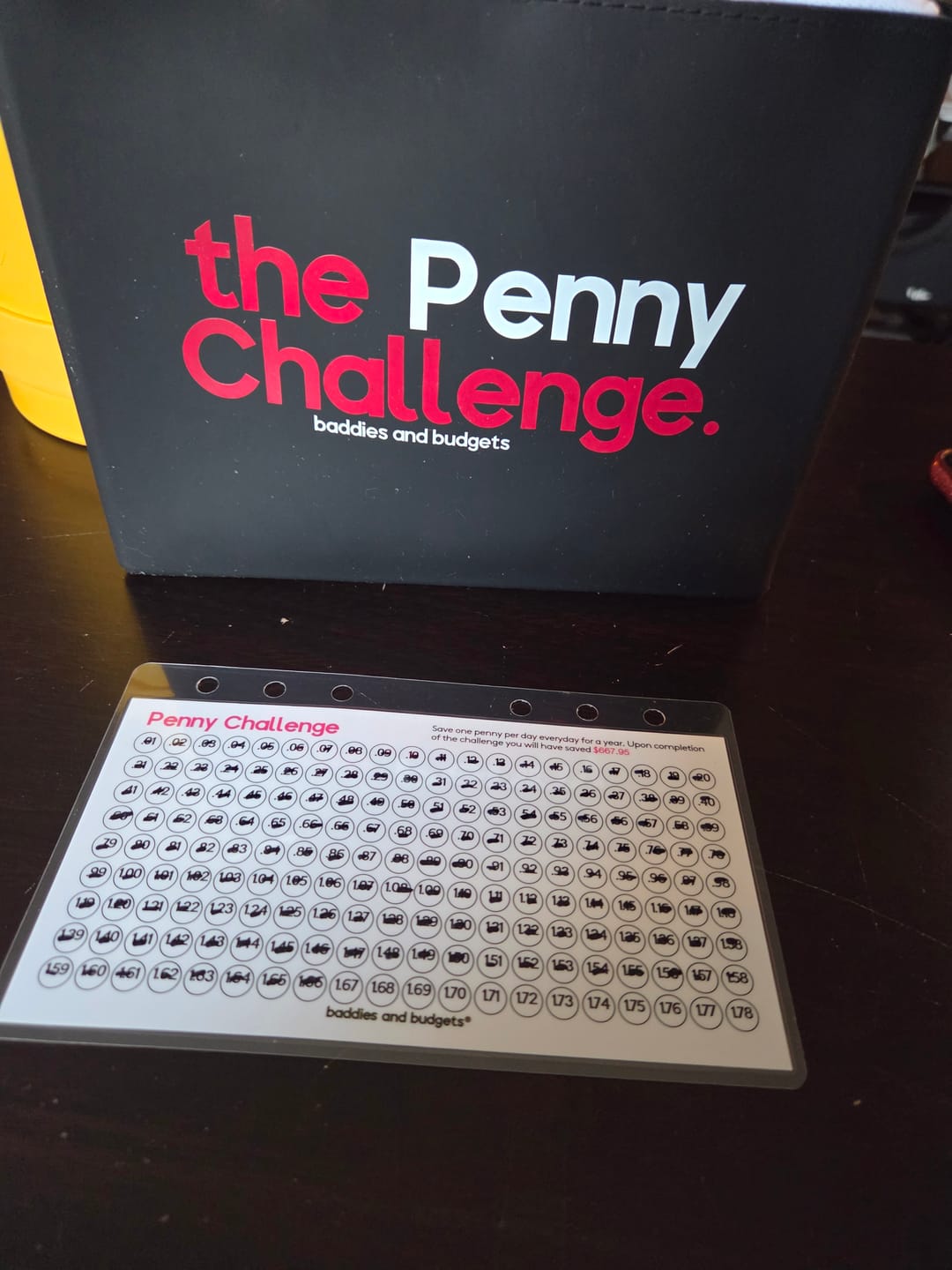 Customer photo review of The Penny Challenge