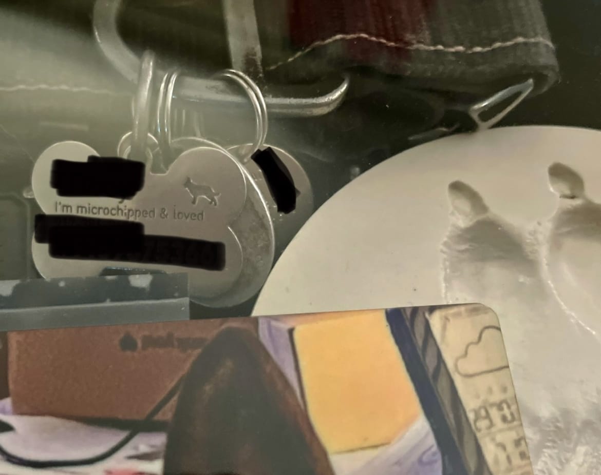 Customer photo review of Hollow-carved Dog ID Tags