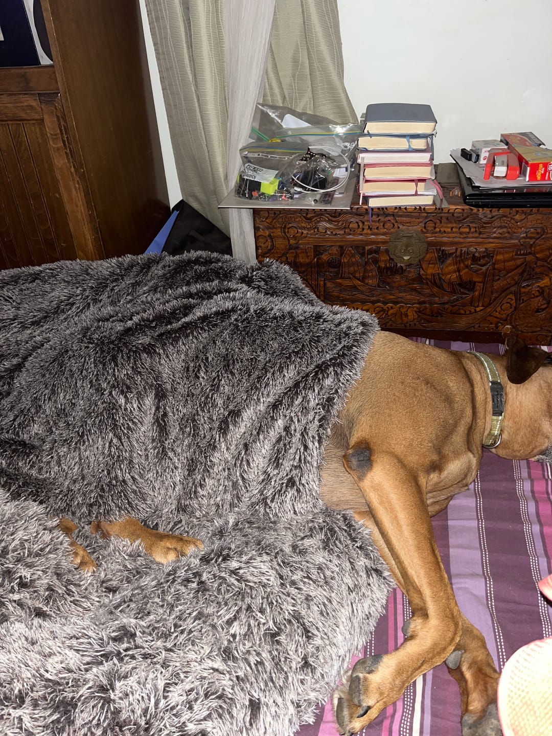 Customer photo review of PaWz Pet Calming Blanket