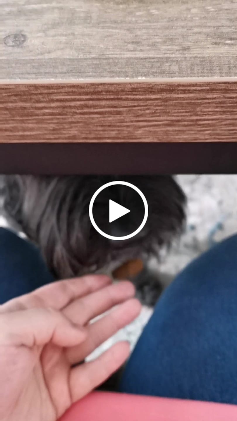 Customer video review of Tony en Lu Pups | Kleine hondensnacks