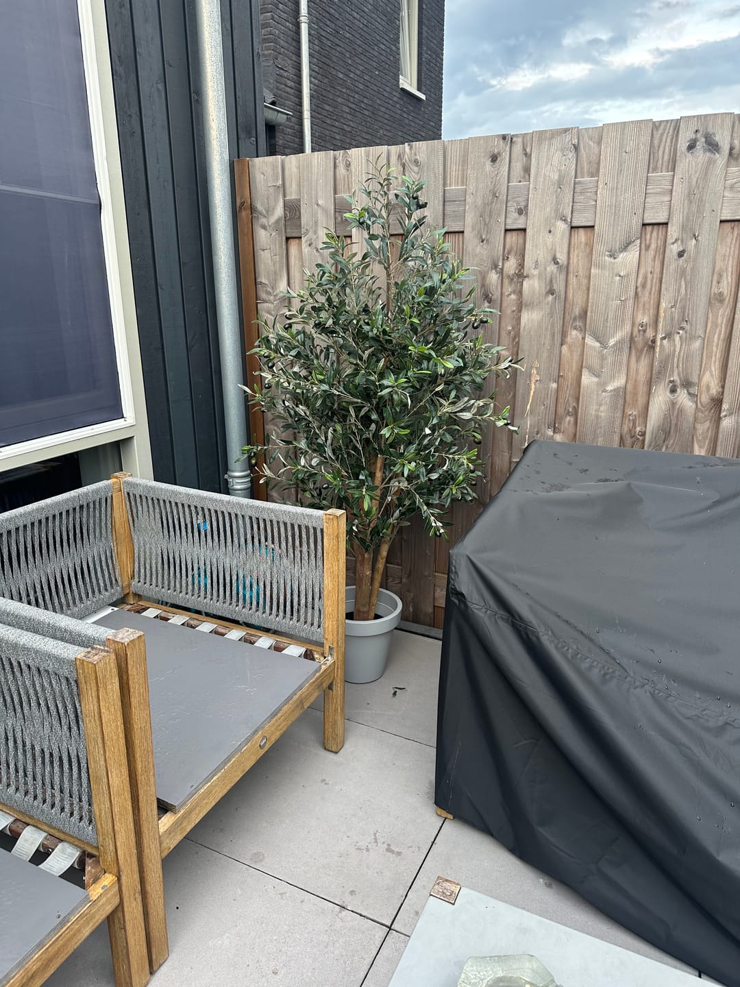 Customer photo review of Pre-Order Kunst Olijfboom 165cm Deluxe (midden mei)