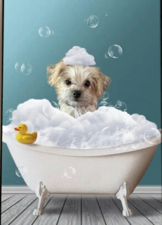 Customer photo review of Fun in the tub - Personalized poster