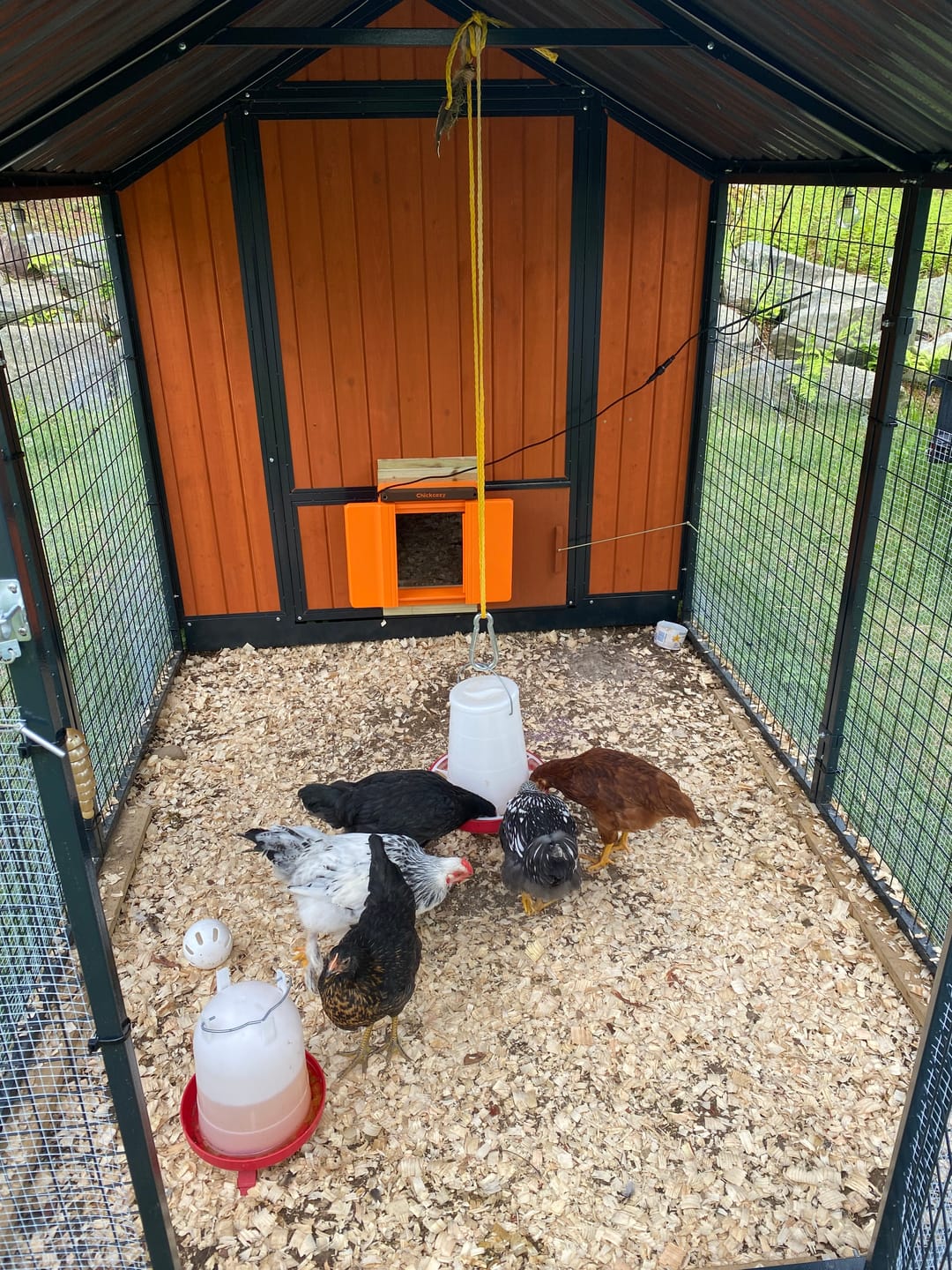 Customer photo review of Solar Automatic Chicken Coop Door