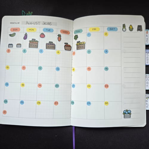 Customer photo review of Planner Subscription