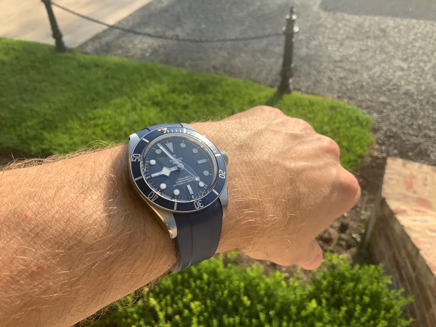 Customer photo review of Integrated Rubber Strap For Tudor Black Bay 58 - Blue