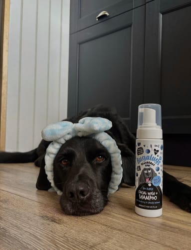 Customer photo review of Blueberry Spa™ No Rinse Facial Wash + Shampoo with Blueberry & Colloidal Oatmeal for Dogs