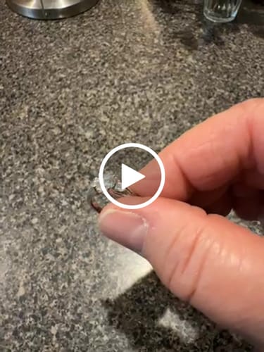 Kathleen H. review of Three Stone Round Moissanite And Trillion Accents Engagement Ring image 1 out of 1