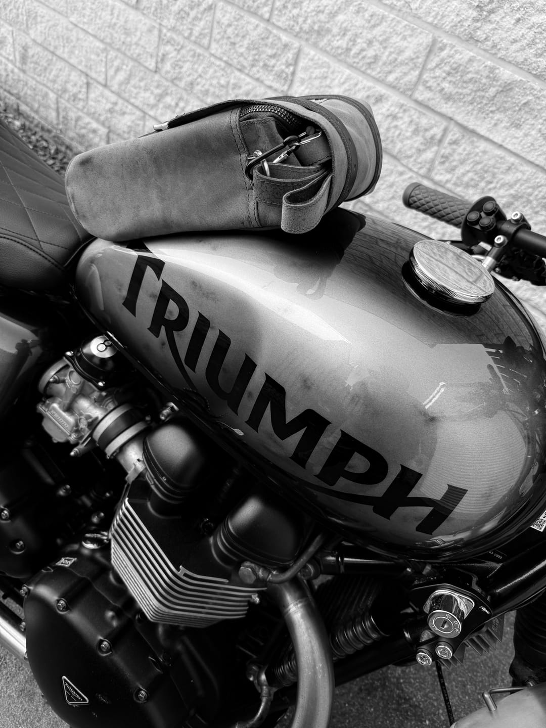 Customer photo review of tank and tail bag