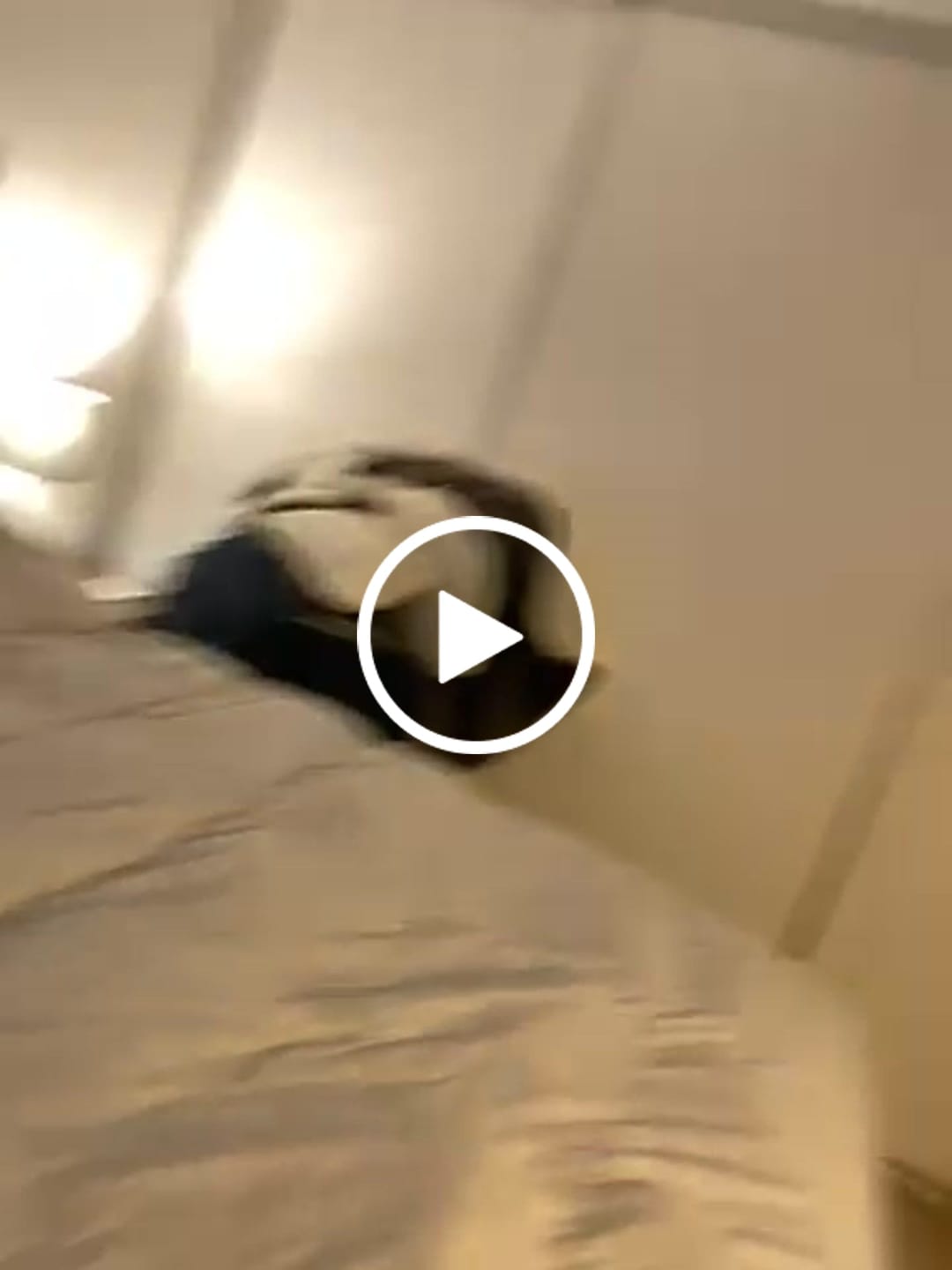 Customer video review of Cozy365™ Premium Down Comforter