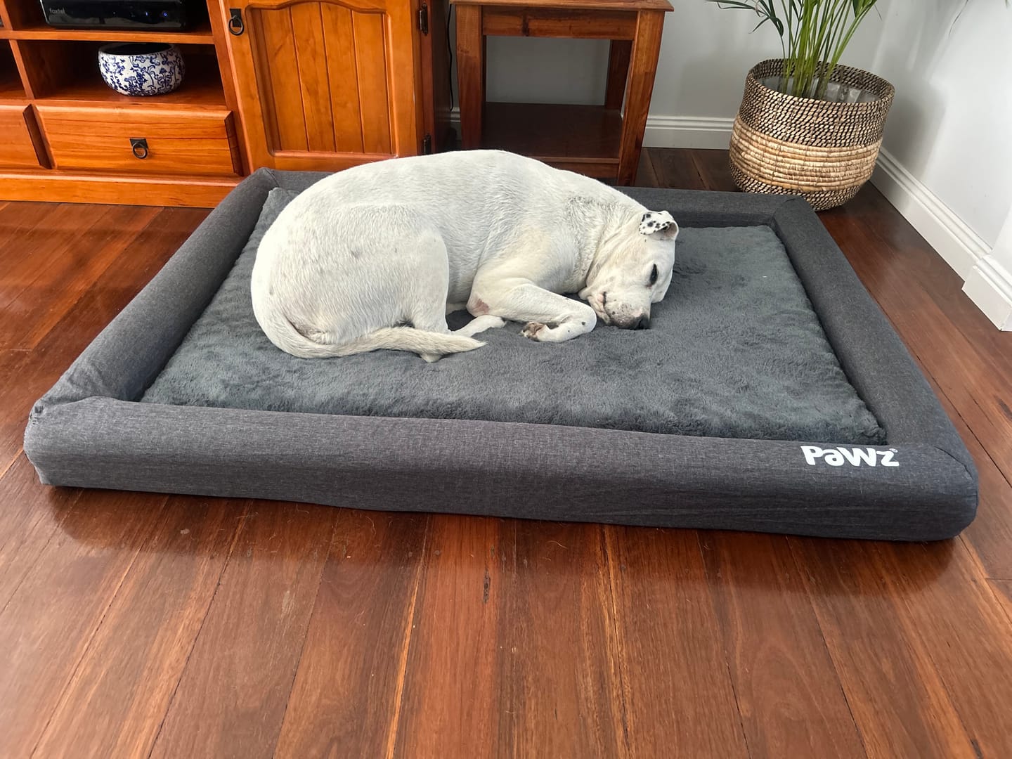 Customer photo review of PaWz Premium Memory Foam Calming Dog Bed