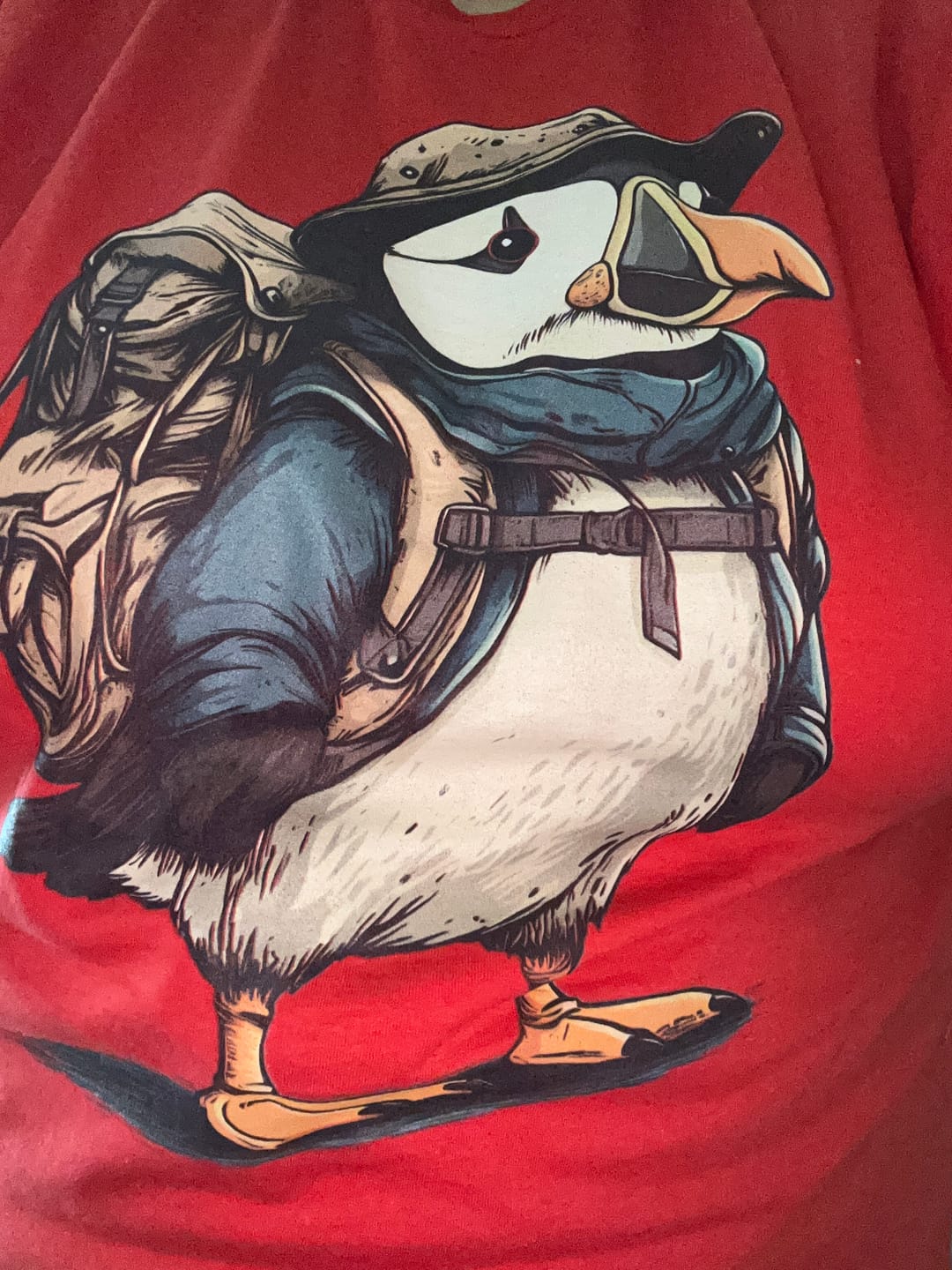 Customer photo review of Pioneer Puffin T-Shirt