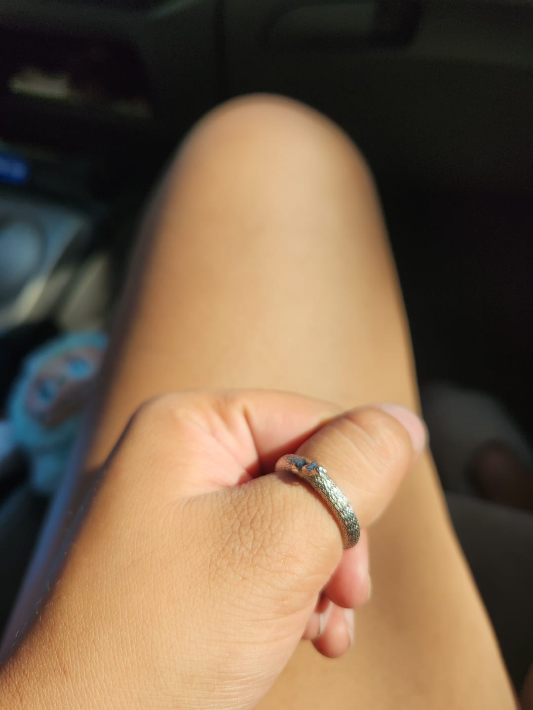 Customer photo review of OUROBORUS RING