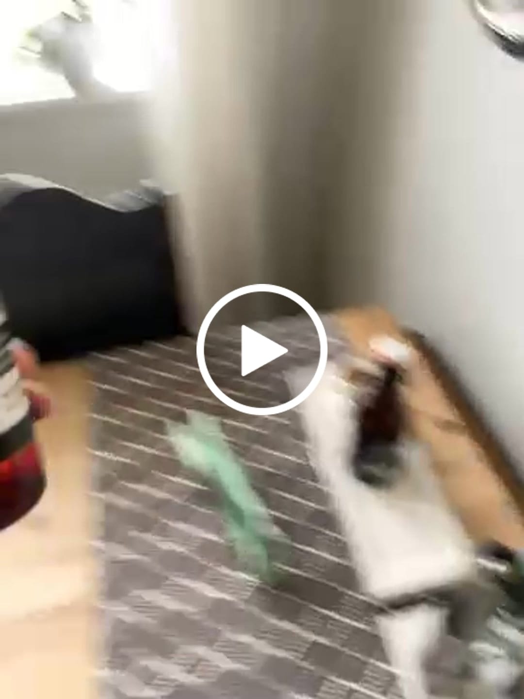 Customer video review of Drit Forbanna Lettere Irritert Chiliolje