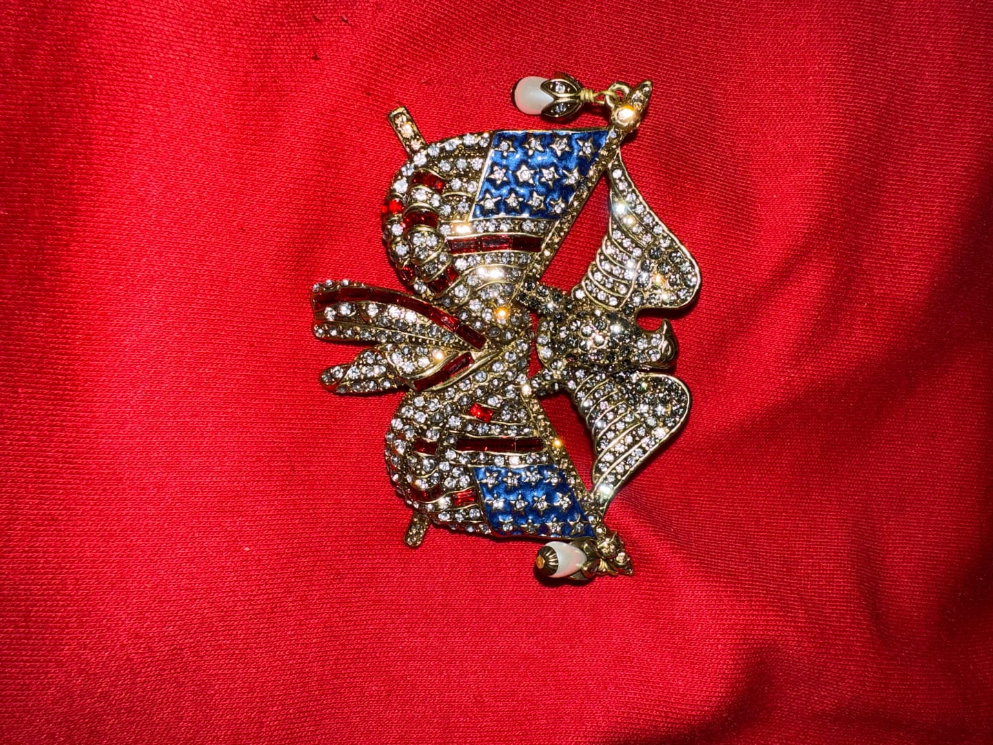 Customer photo review of Heidi Daus® "Life, Liberty & The Pursuit of Sparkle" Crystal Patriotic Eagle Pin