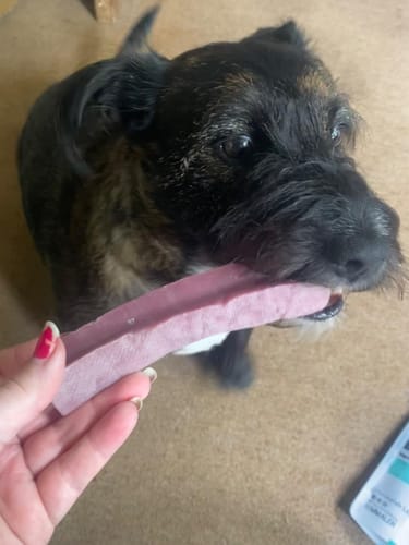 Customer photo review of Himmaleh Yak Chews For Dogs