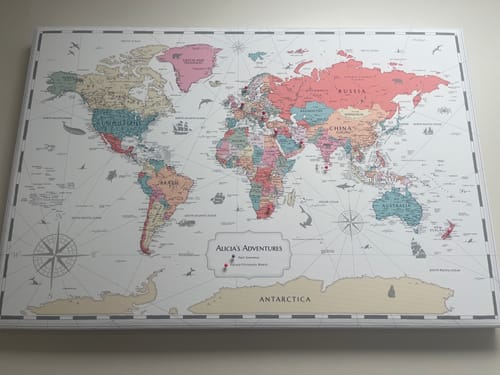 Customer photo review of Pinnable World Journey Map • Multi-Colored