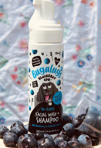 Customer photo review of Blueberry Spa™ No Rinse Facial Wash + Shampoo with Blueberry & Colloidal Oatmeal for Dogs