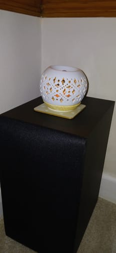 Customer photo review of Citrus Selection Wax Melts - 16 Pack