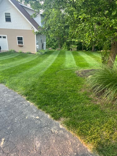 Customer photo review of Cool Season Lawn Care Guide and Cool Season Renovation Guide Combo