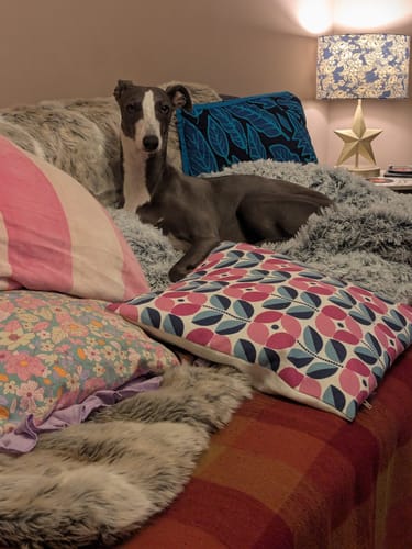 Customer photo review of Super Plush Cove Bed