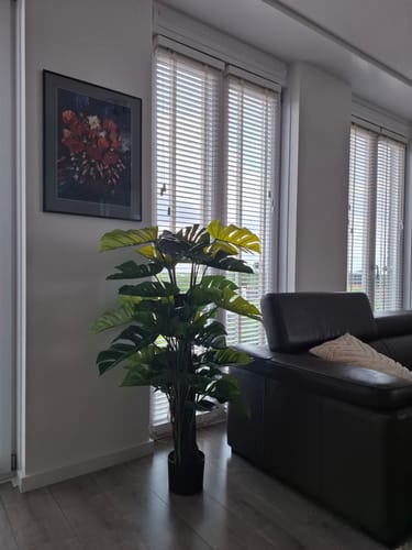 Customer photo review of Pre-order Monstera Kunstplant 120cm (eind mei)
