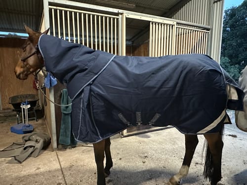 Customer photo review of LE Boxter Turnout Ripstop 200g