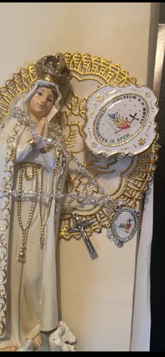 Customer photo review of Green Shipping Protection INSURANCE