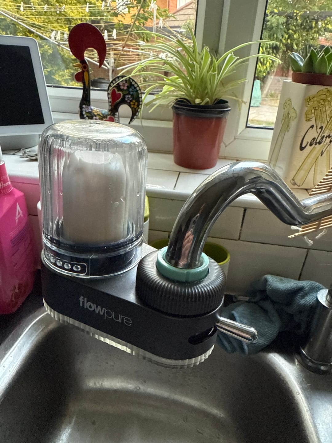 Customer photo review of FREE 6 Months Supply Promo