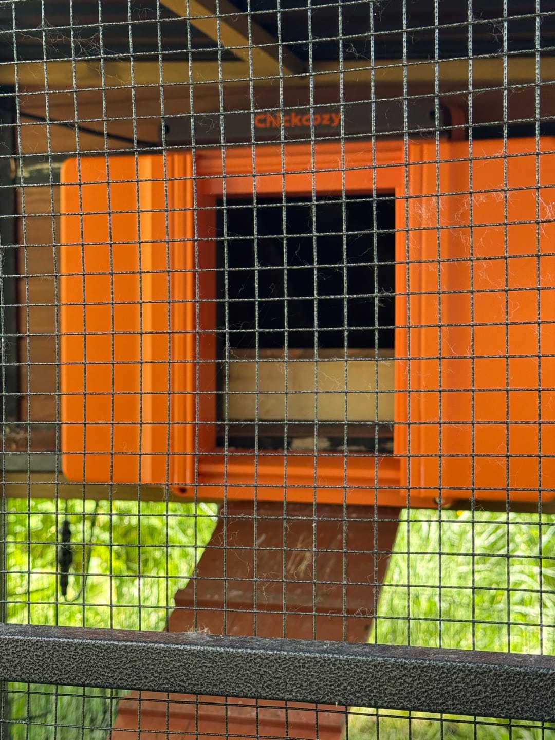 Customer photo review of Solar Automatic Chicken Coop Door