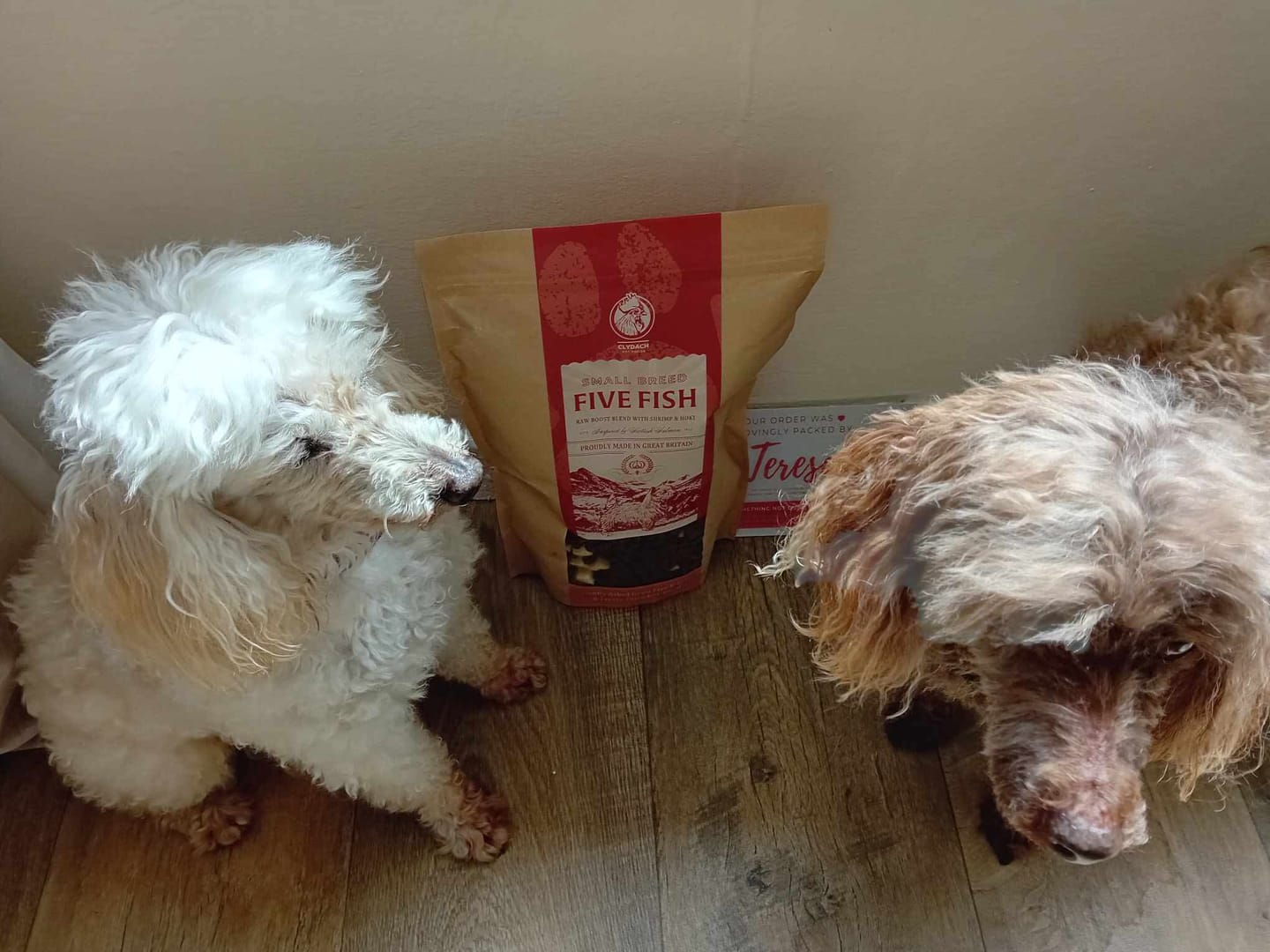 Customer photo review of English Duck Dry Food