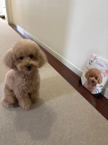 Customer photo review of Petcanvaオーダーメイド ペット似顔絵