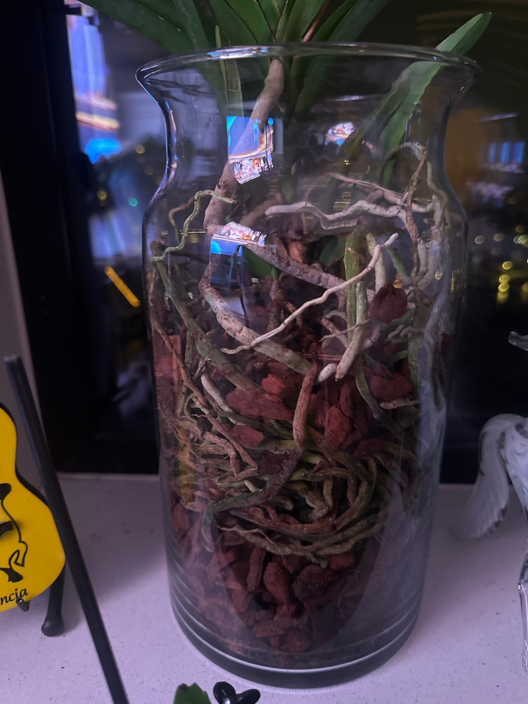 Customer photo review of Orchid Bark