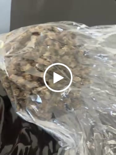 Customer video review of Pop Cherry - Bulk - Minis (Sativa)