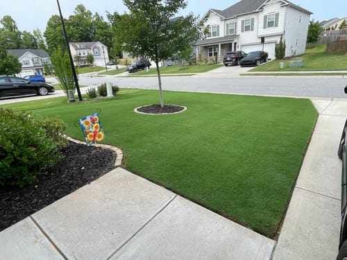Customer photo review of In Store GCI Turf 28-0-8 G