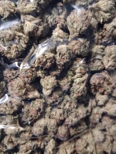 Customer photo review of Gary Payton THCA Flower