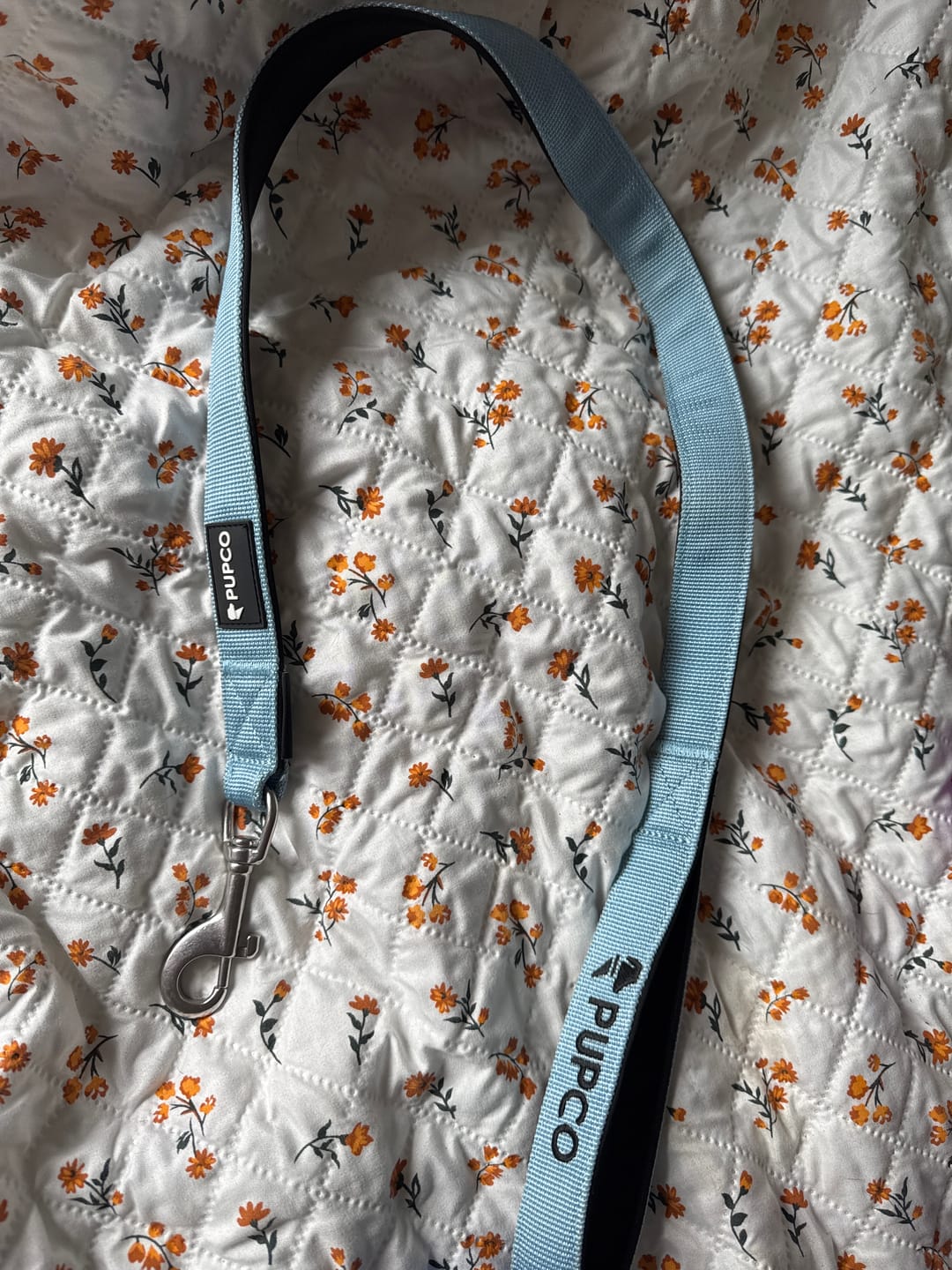 Customer photo review of Classic lead - Sky blue