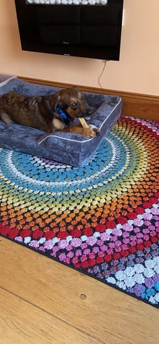 Customer photo review of Himmaleh Yak Chews For Dogs